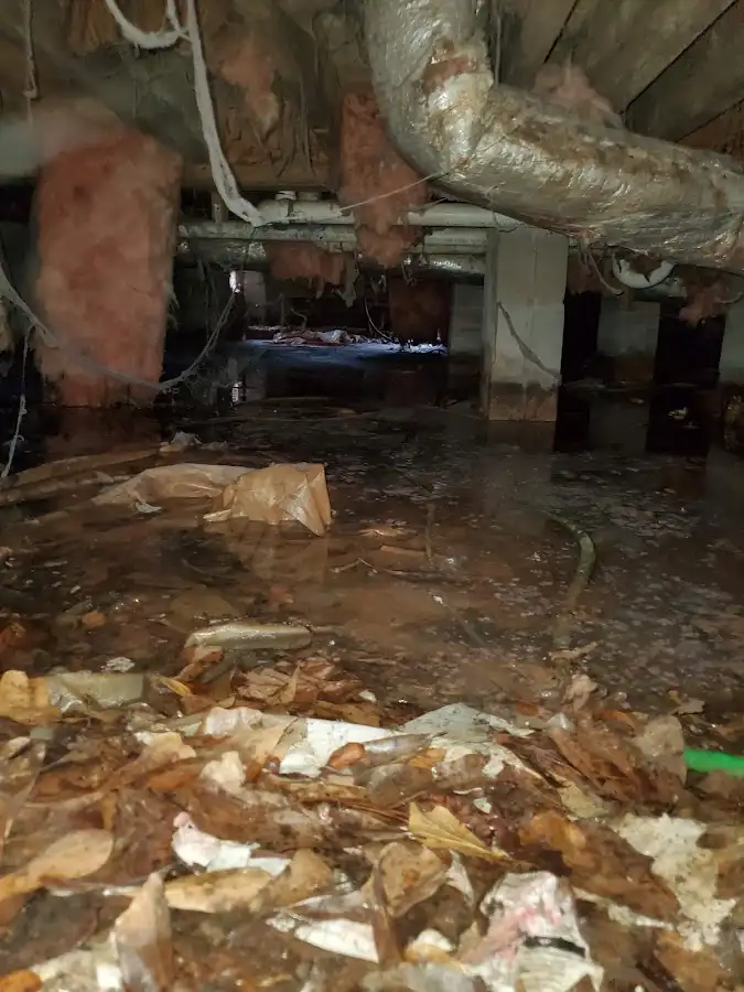 Crawl space flood assessment for Leak Detection & Repair in Washingtonville